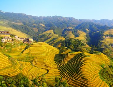 Longji Rice Terraces