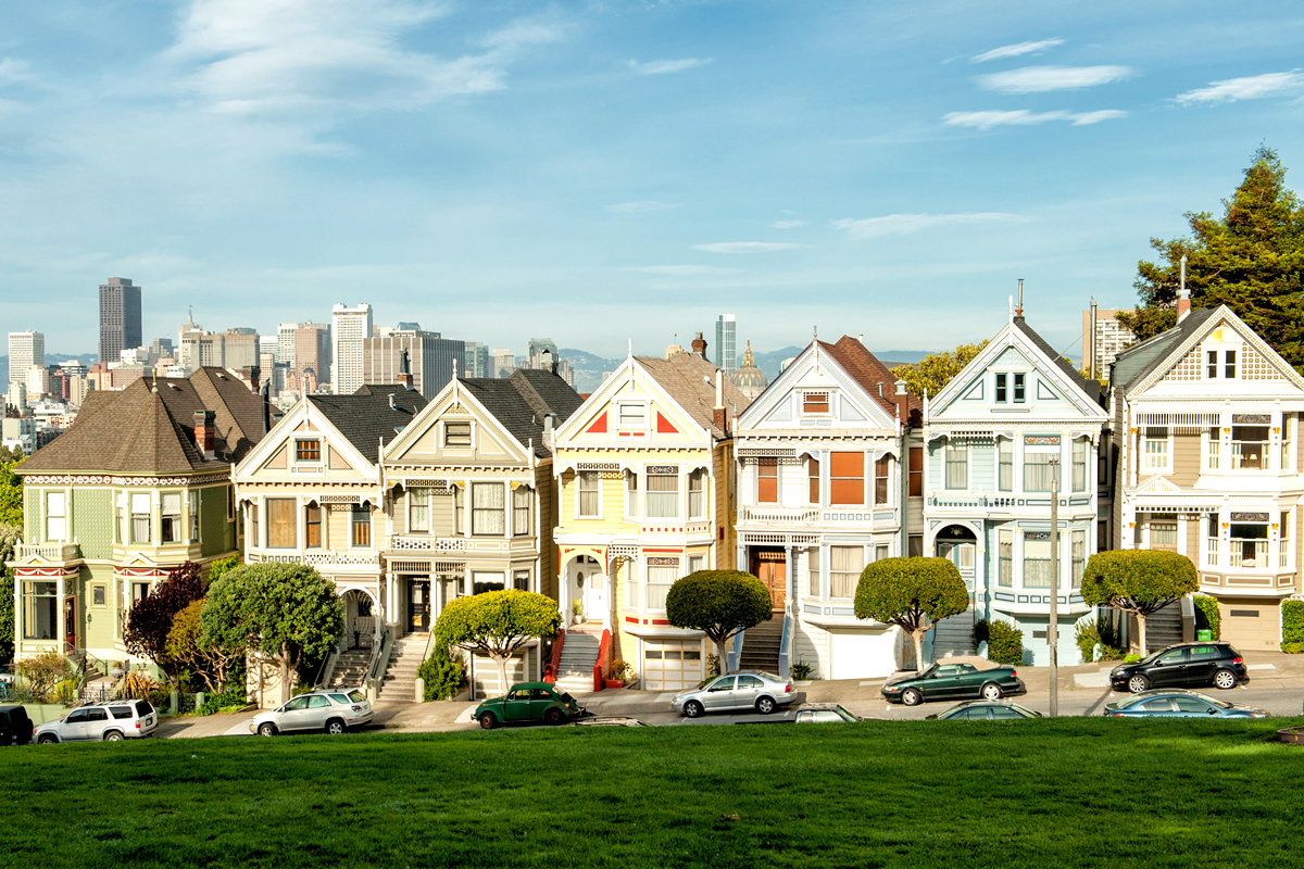 Painted Ladies