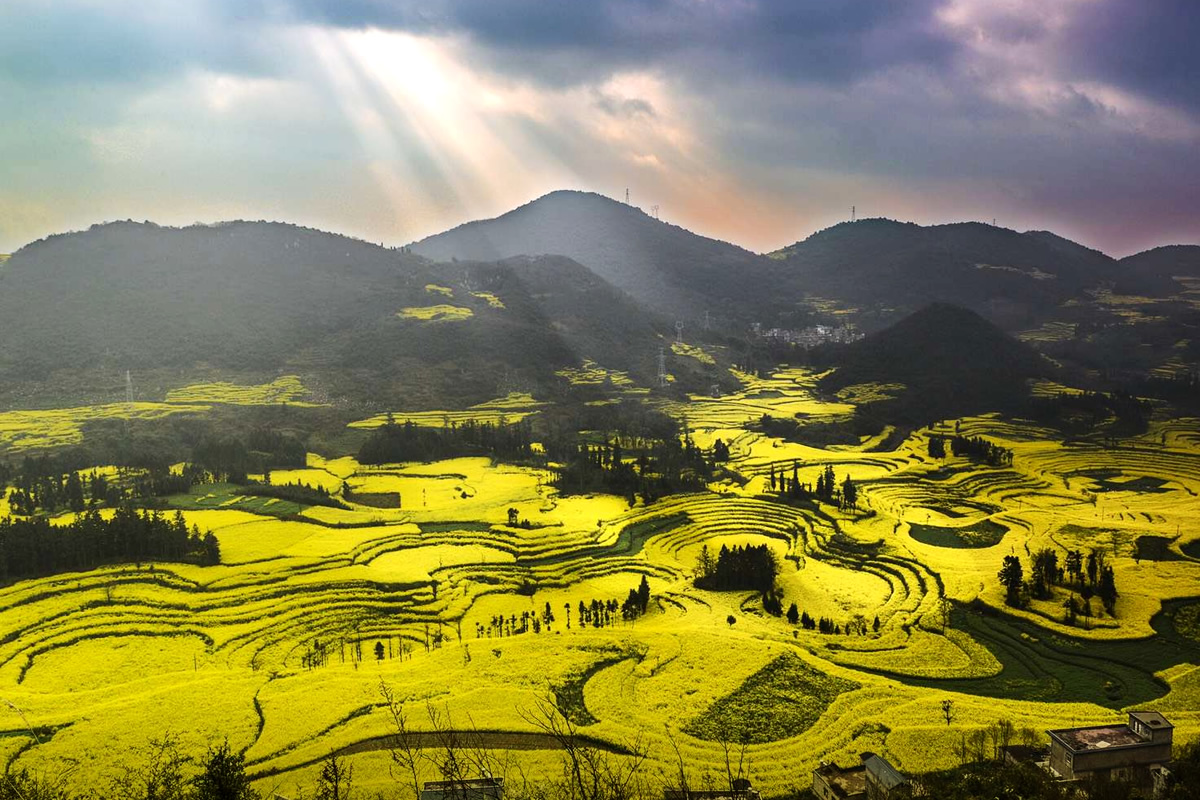 Yuanyang Rice Terraces