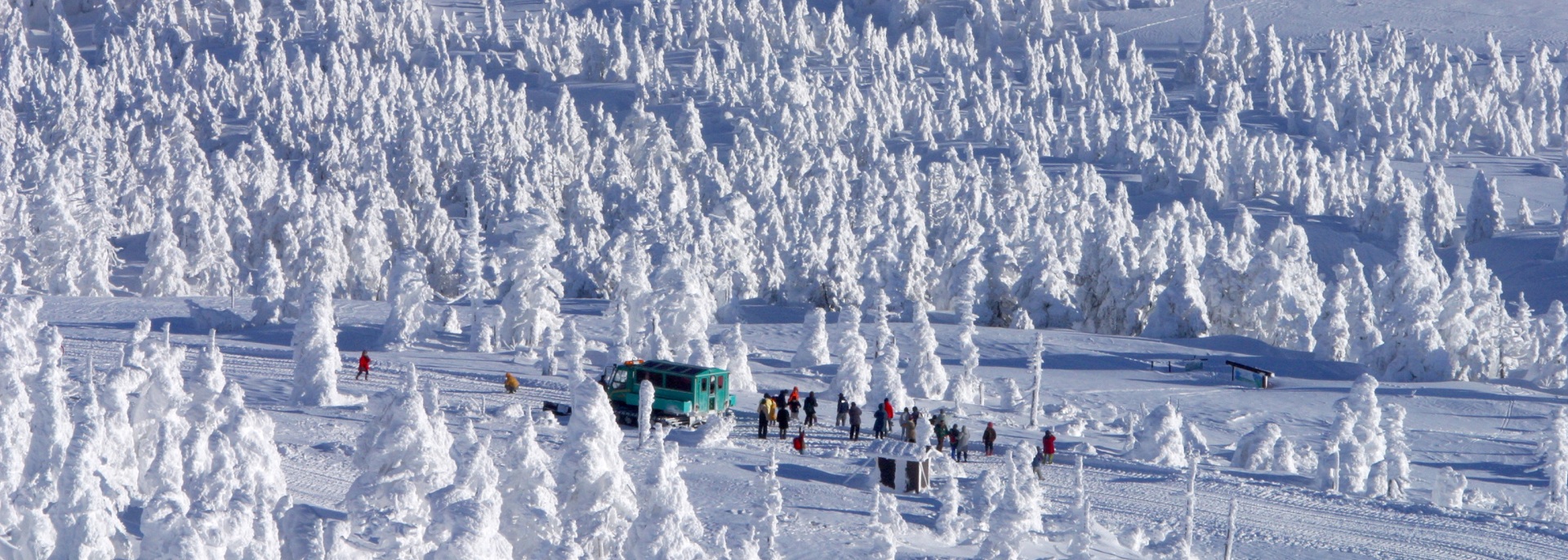 Winter in Zao