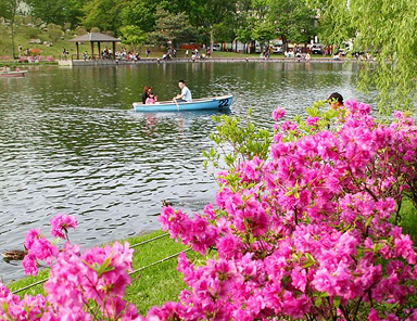 Tokiwa Park