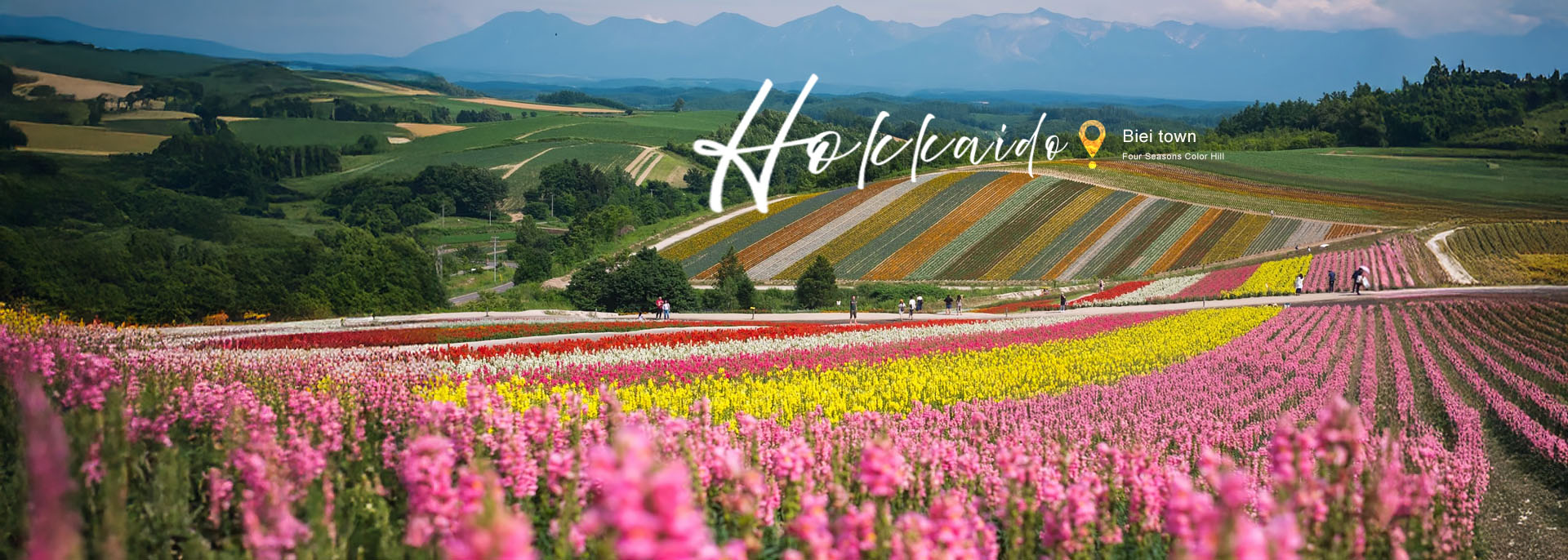 Summer Colors of Hokkaido