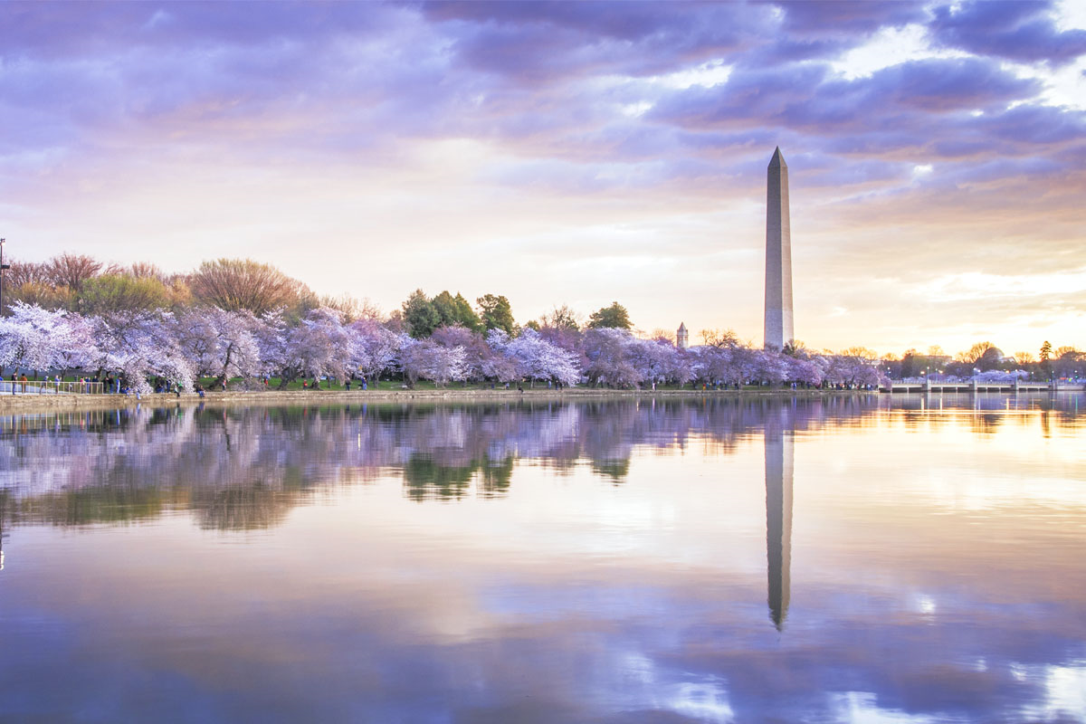 Washington Monument