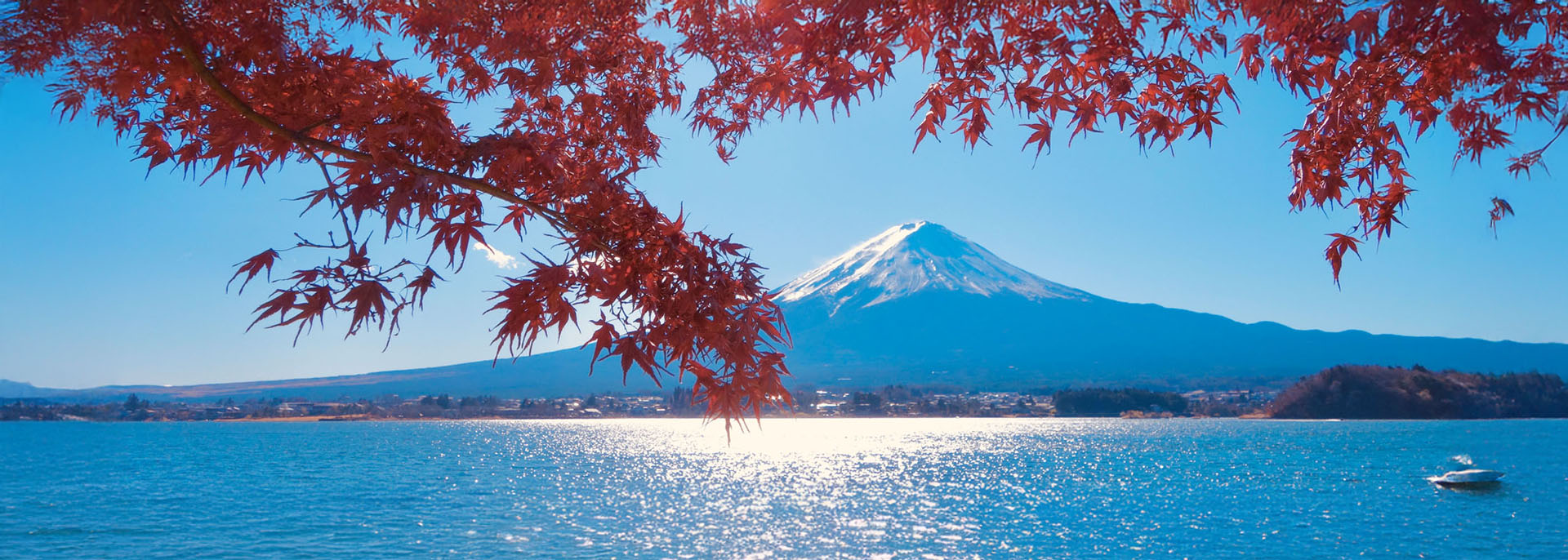 Autumn at Mount Fuji