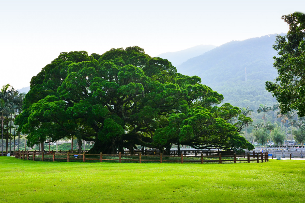 Fuzhou National Forest Park