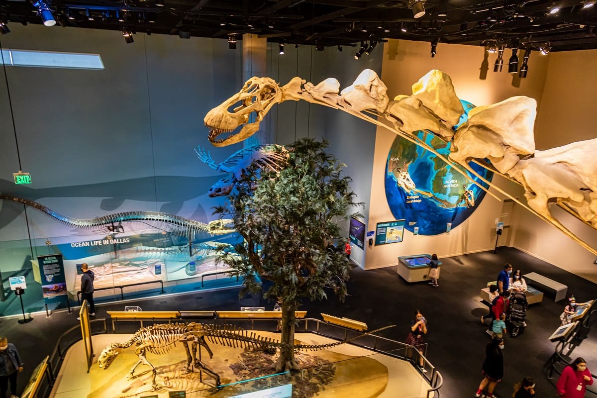 Perot Museum of Nature and Science