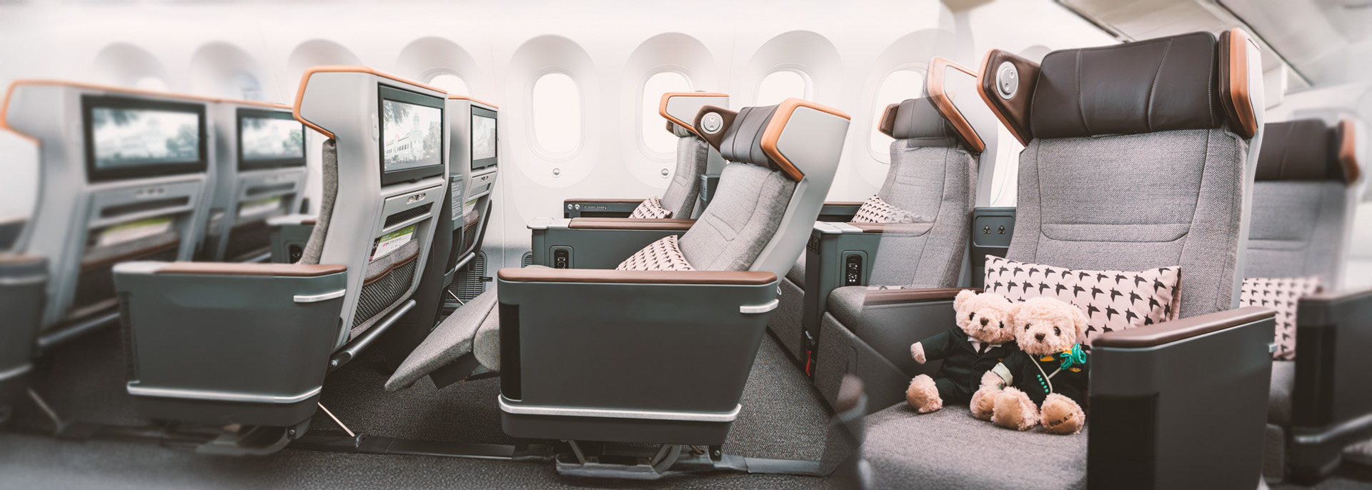New Premium Economy Class