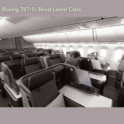 787-9-business-class-400x400