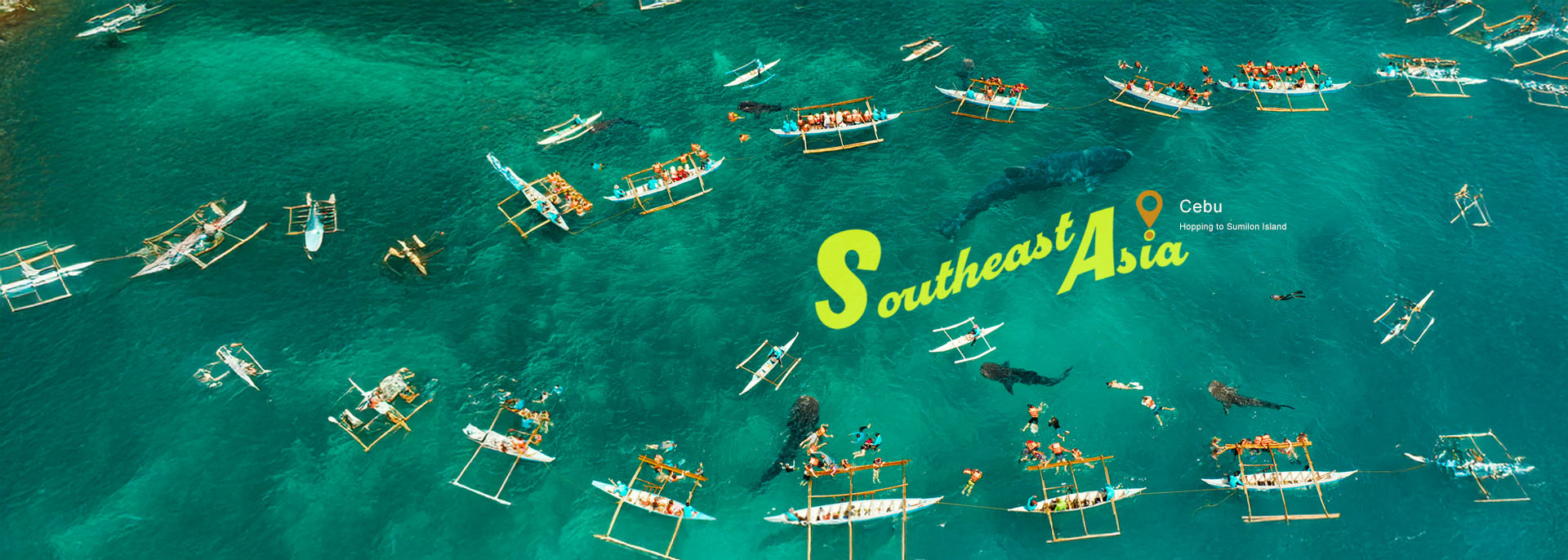 Dive into Cebu