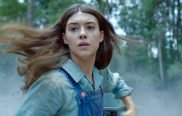 Where the Crawdads Sing