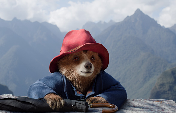 Paddington in Peru