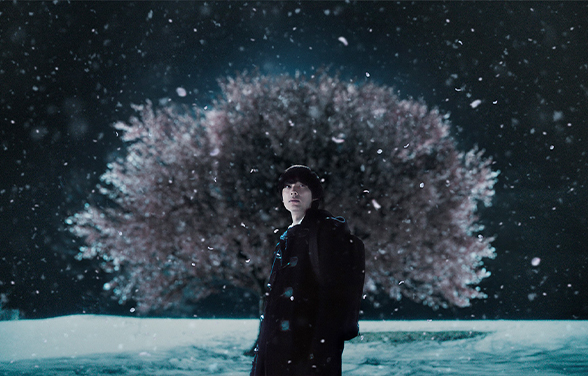 5 Centimeters Per Second