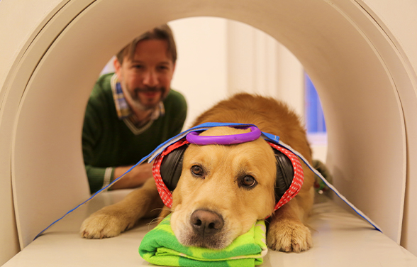 개는 말을 할 수 있을까