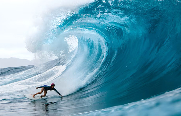 크리스타 펑크 – 퍼스트 인, 라스트 아웃