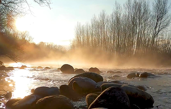 자연 속 클래식