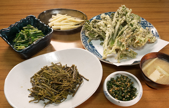 Through the Kitchen Window