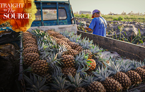 Straight to the Source