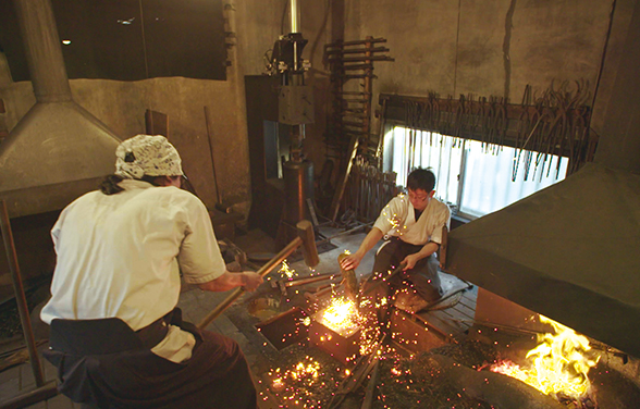 Treasures of the Earth