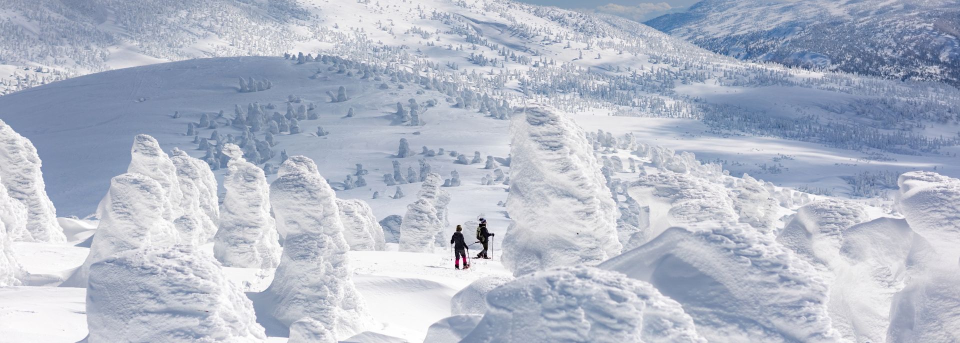 Promozione Inverno Magico in Giappone 