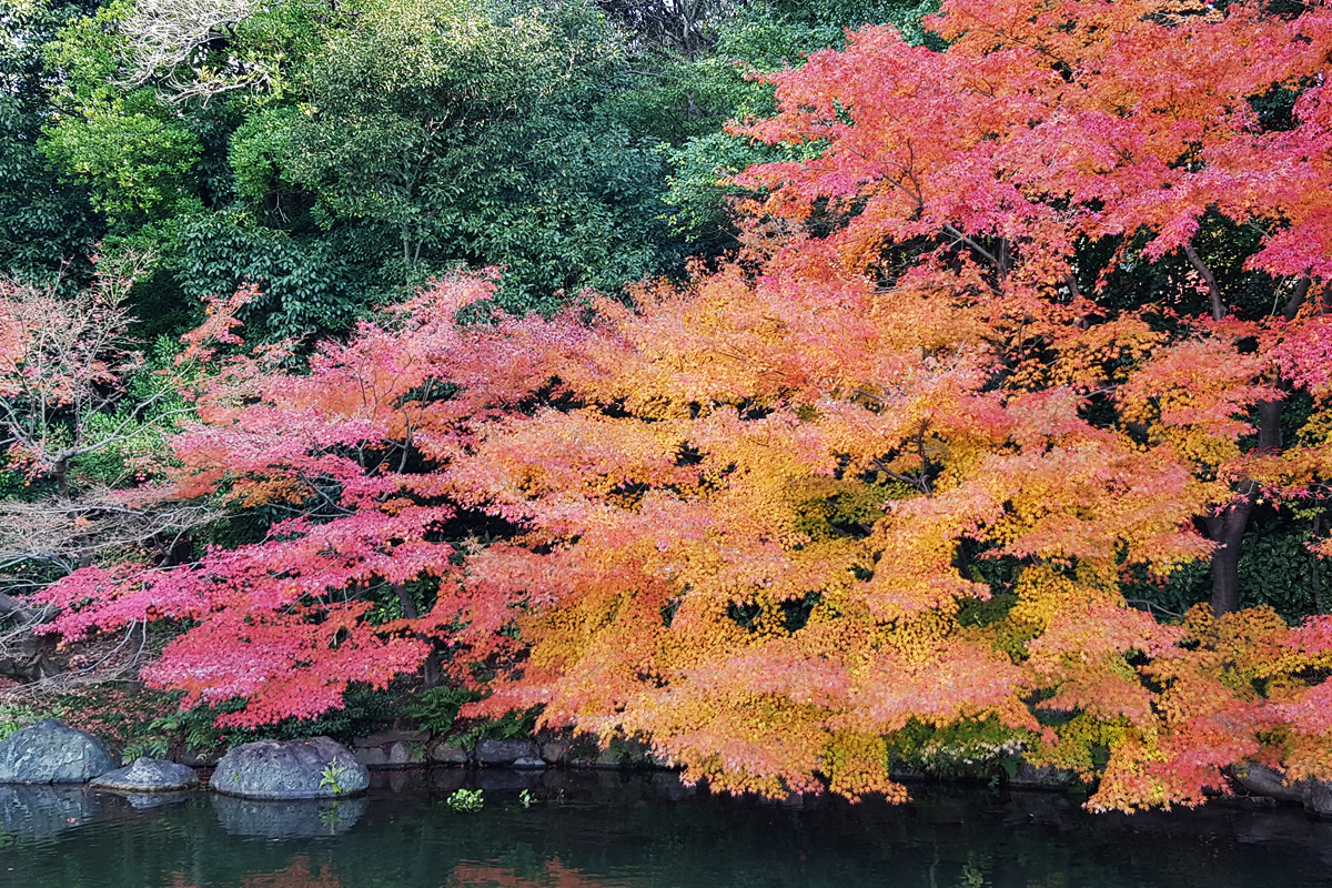 Nagoya