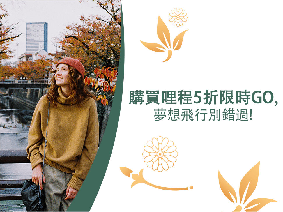 Purchase miles promotion