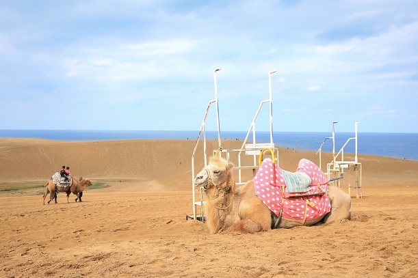2021-03-17-tottori-shi-2